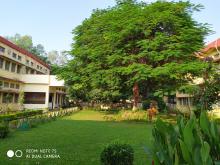 GREENERY IN SCHOOL