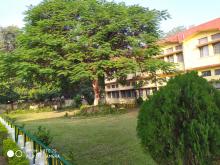 GREENERY IN SCHOOL