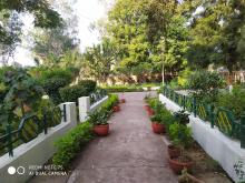 GREENERY IN SCHOOL